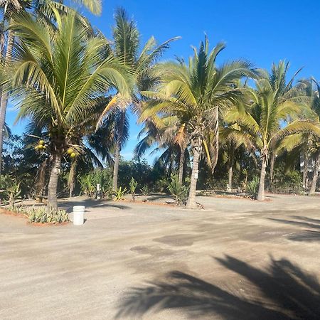 Bungalows Laguna Del Tule 산 파트리시오 멜라케 외부 사진